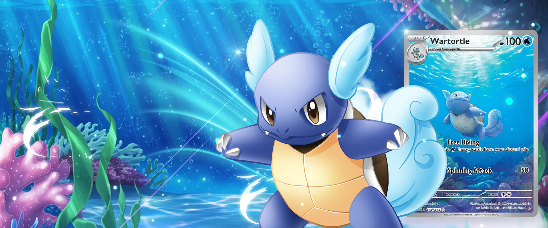 Master Your Ultimate Card Collection